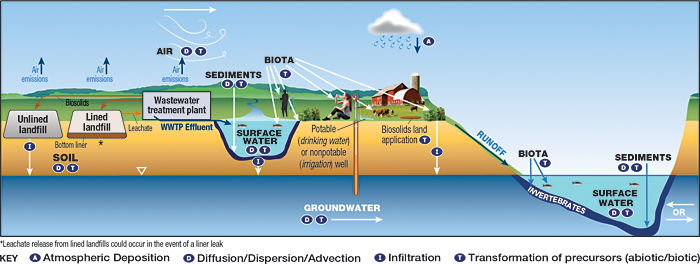 Environmental Factor - April 2022: PFAS water filter developed