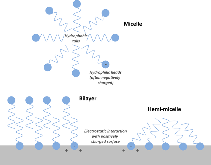 5 Environmental Fate and Transport Processes – PFAS — Per- and