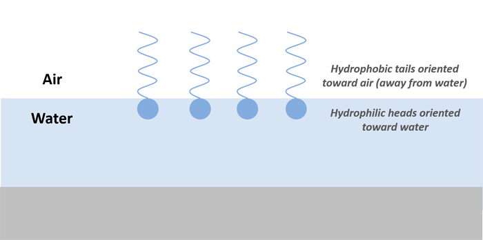 5 Environmental Fate And Transport Processes – PFAS — Per- And ...