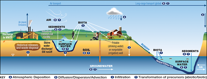 What are the cause of overload problem in WWTP - Netsol Water